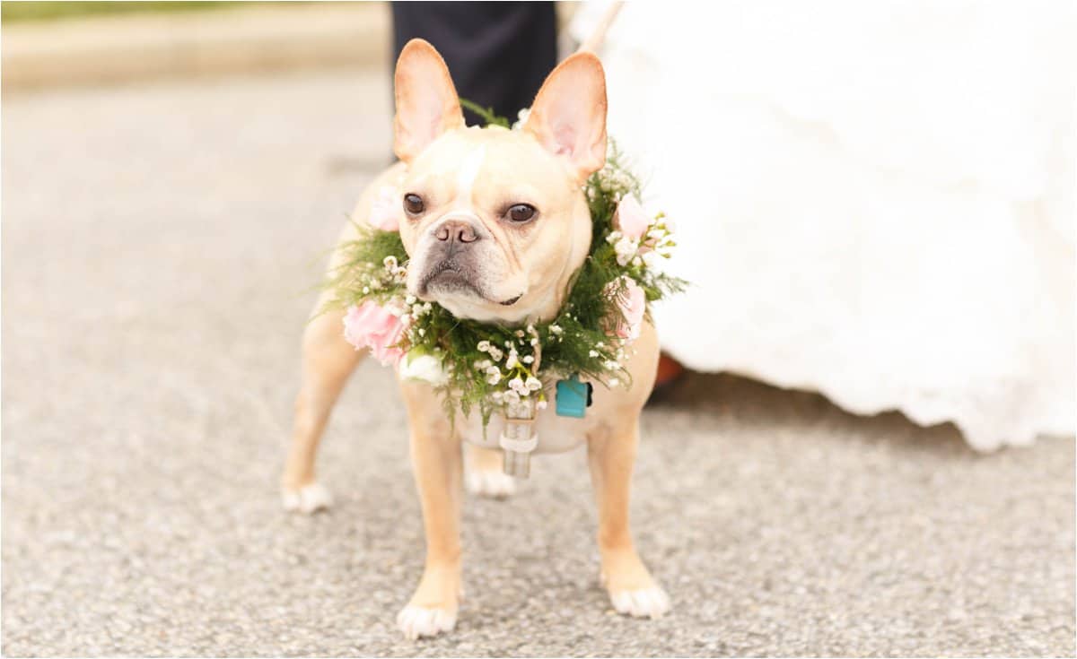 lighthouse sound wedding photos_2148