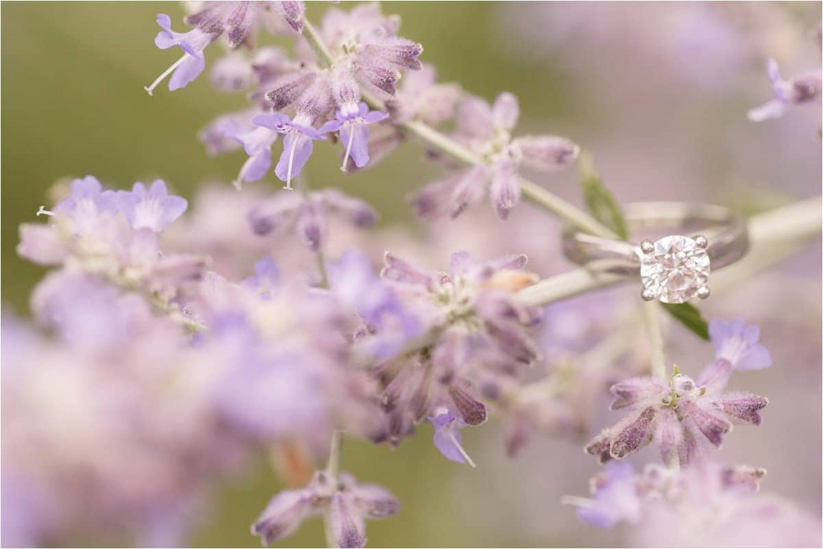 richmond virginia engagement wedding photos