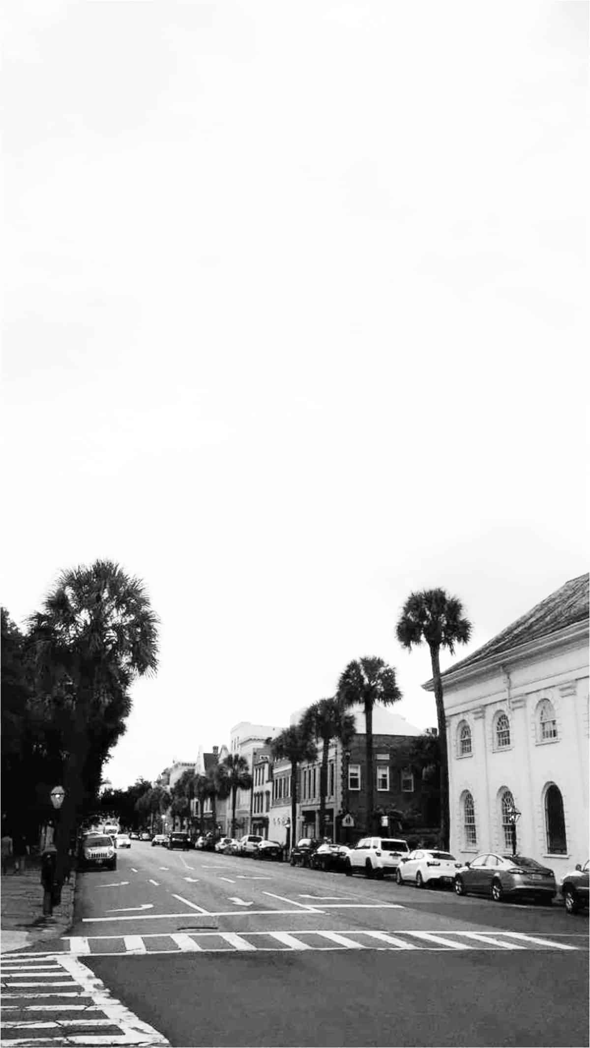 charleston south carolina honeymoon photos_3591