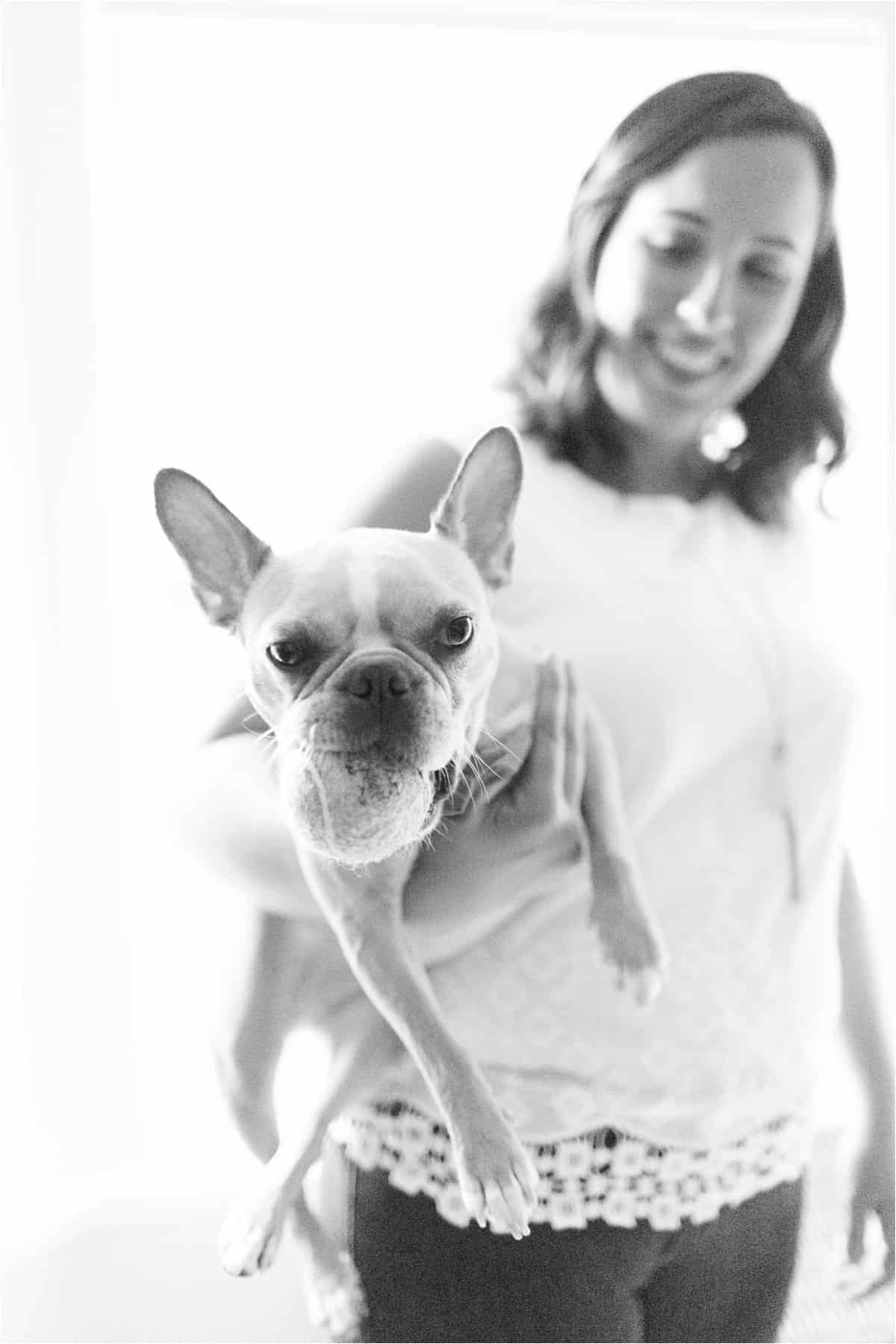 pet lifestyle photos