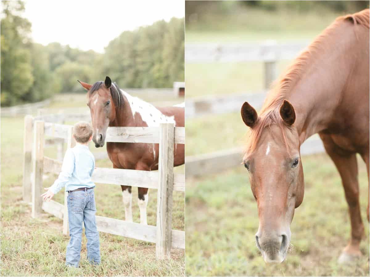 amelia virginia family photos