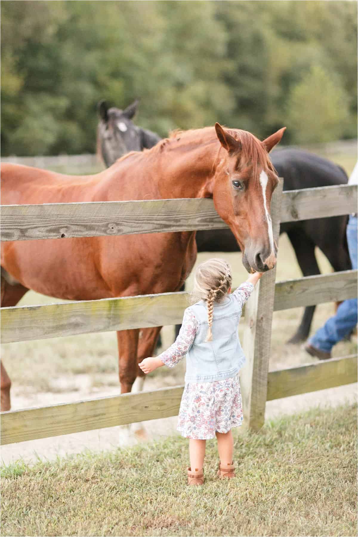 amelia virginia family photos