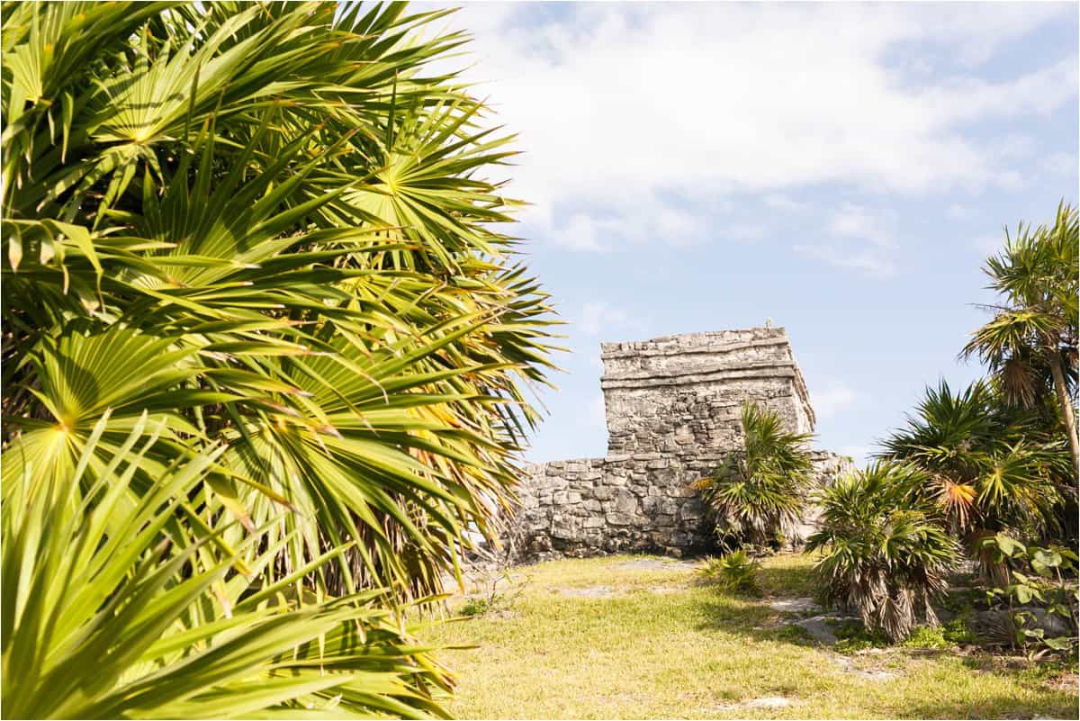 cancun wedding photographer royalton resort cancun wedding photographer