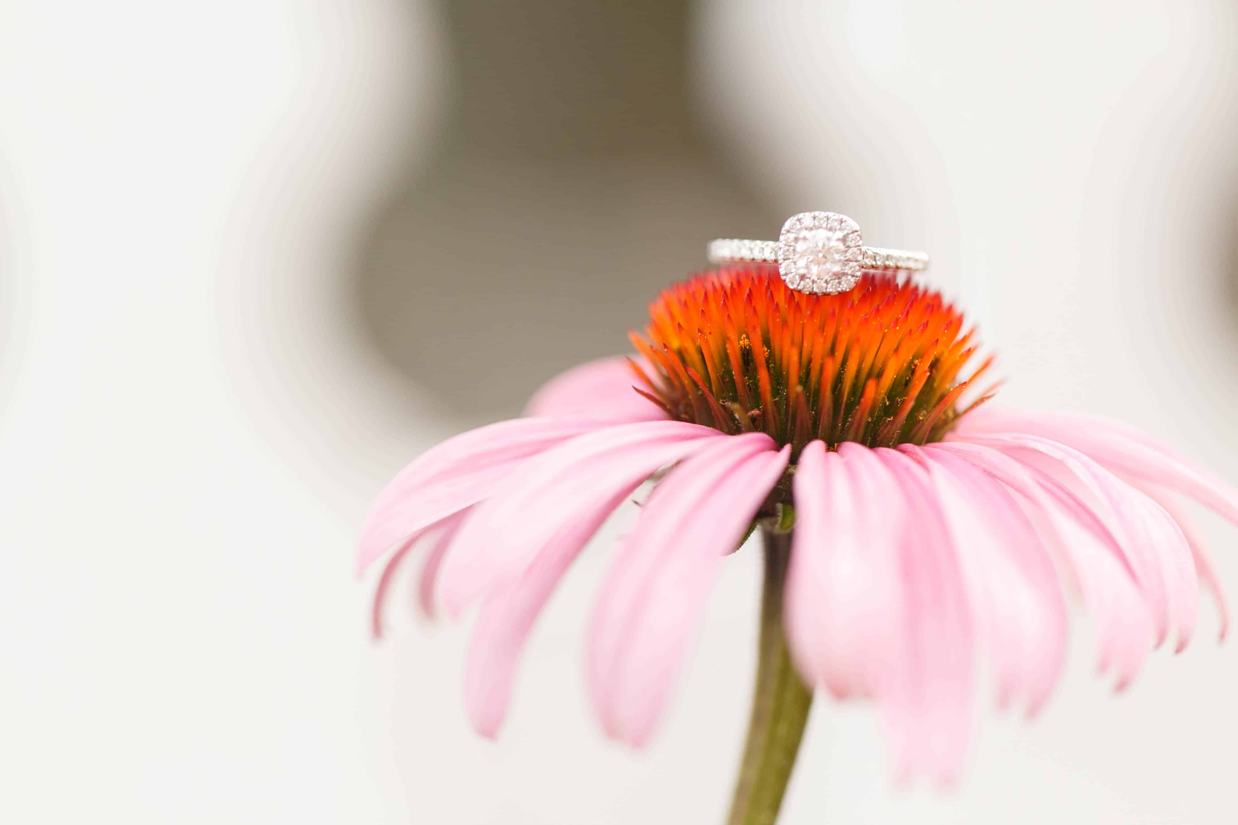 Yorktown Beach Engagement by Virginia Ashley Photography