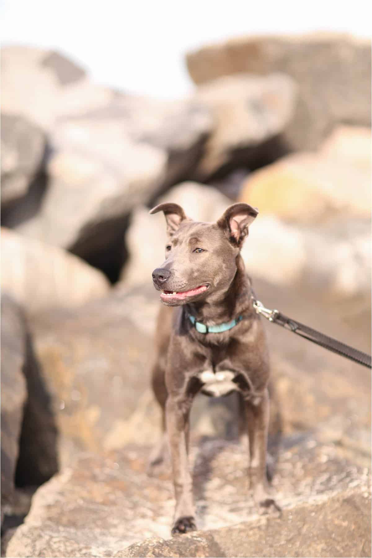 yorktown beach photos