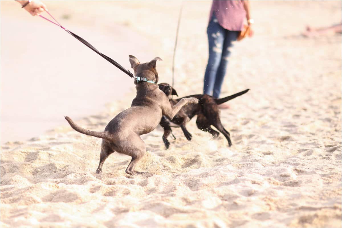 yorktown beach photos