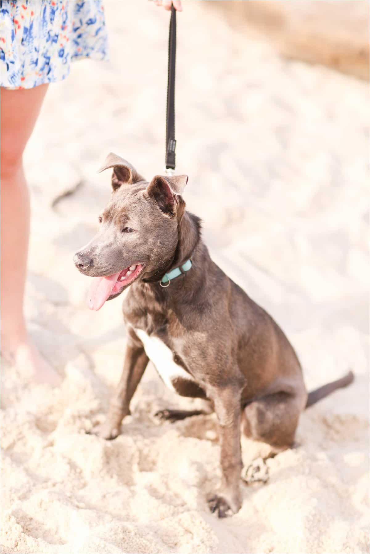 yorktown beach photos