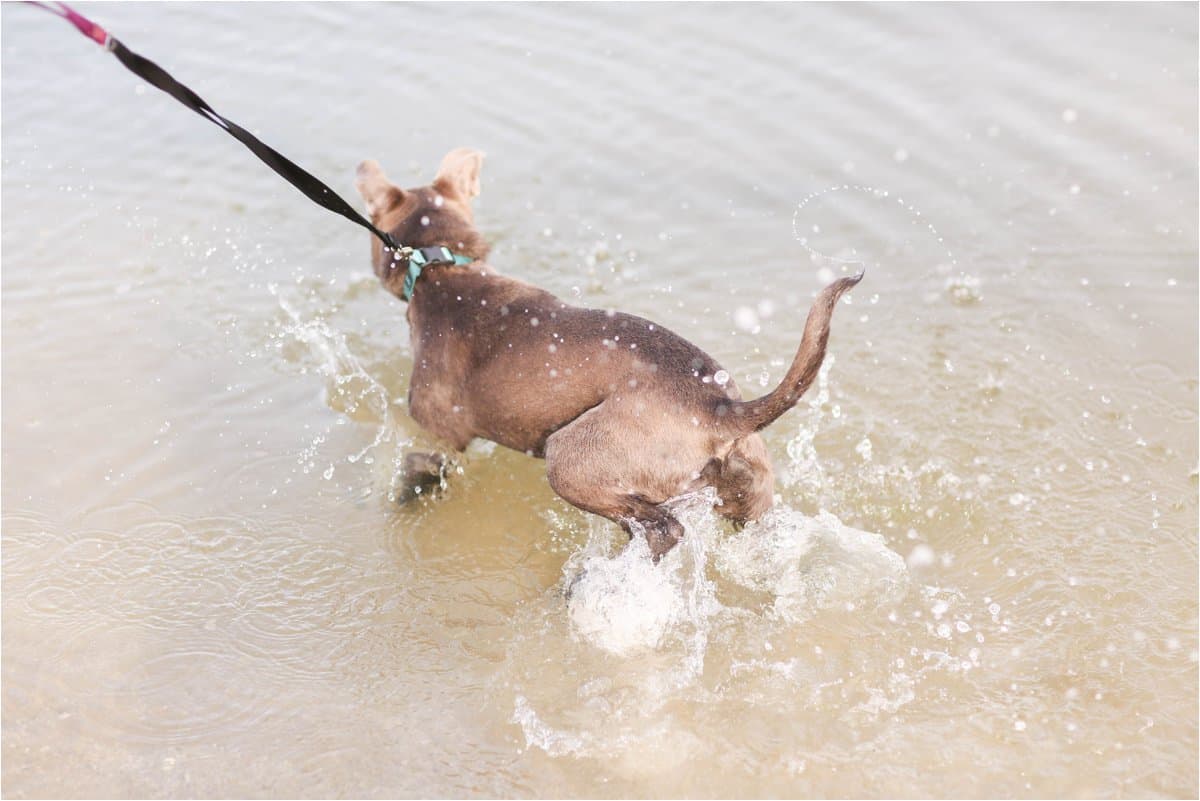 yorktown beach photos