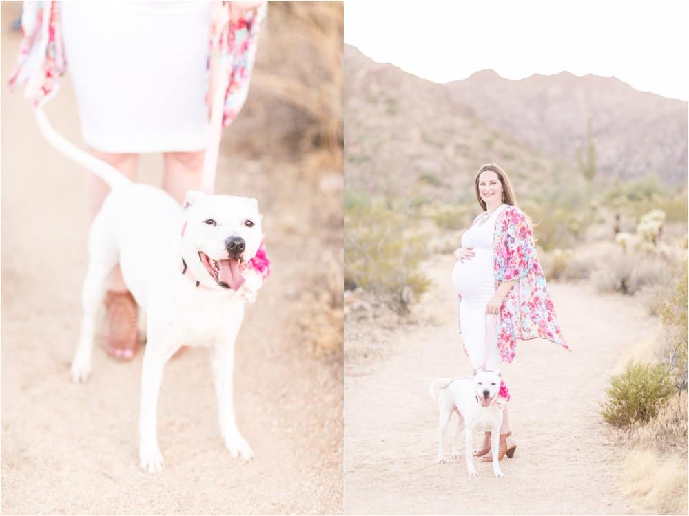 phoenix arizona engagment photos