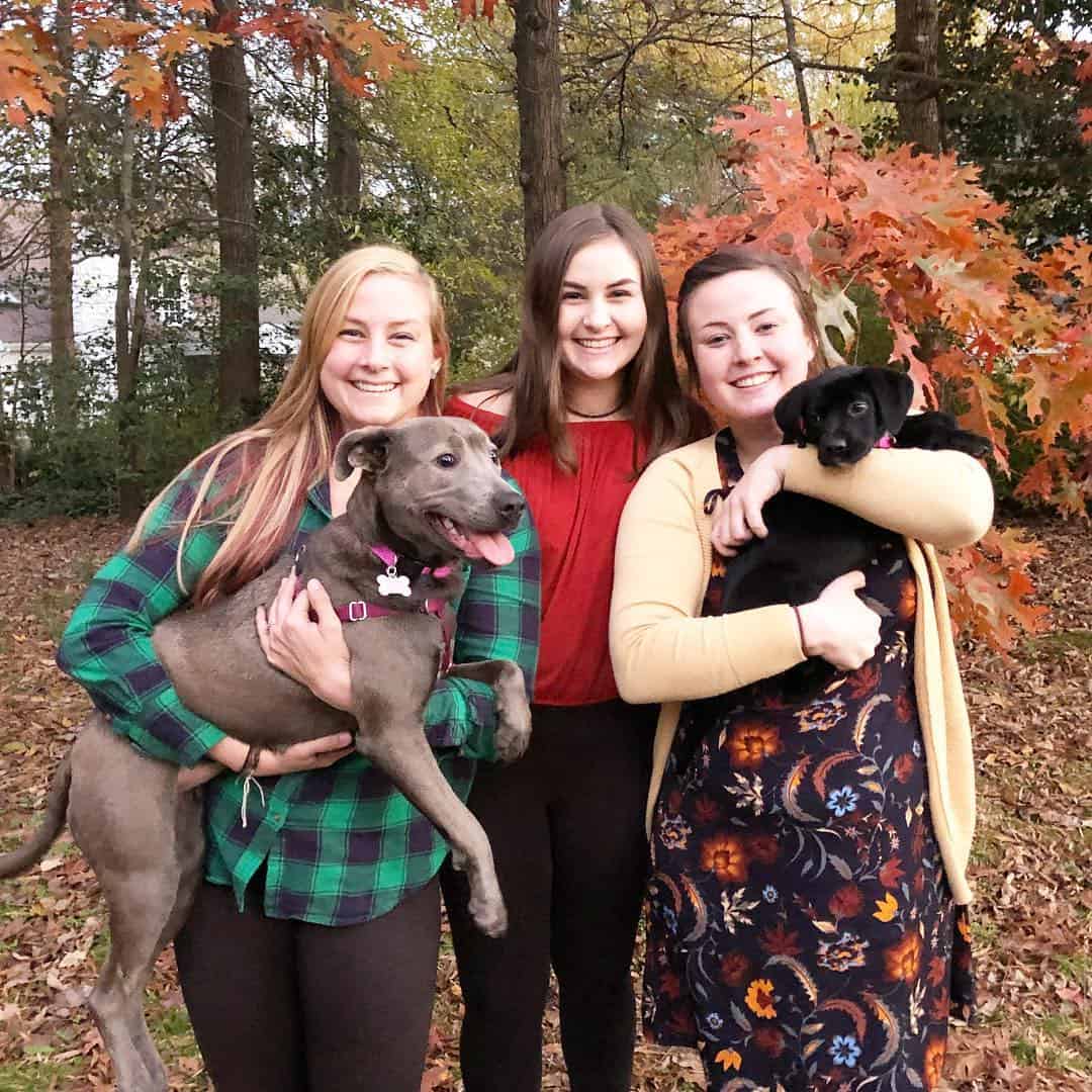 thanksgiving family photos