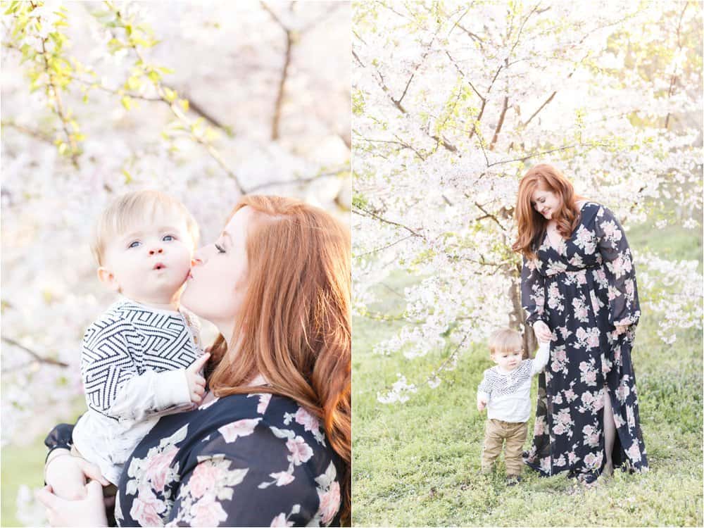 cherry blossom photo session