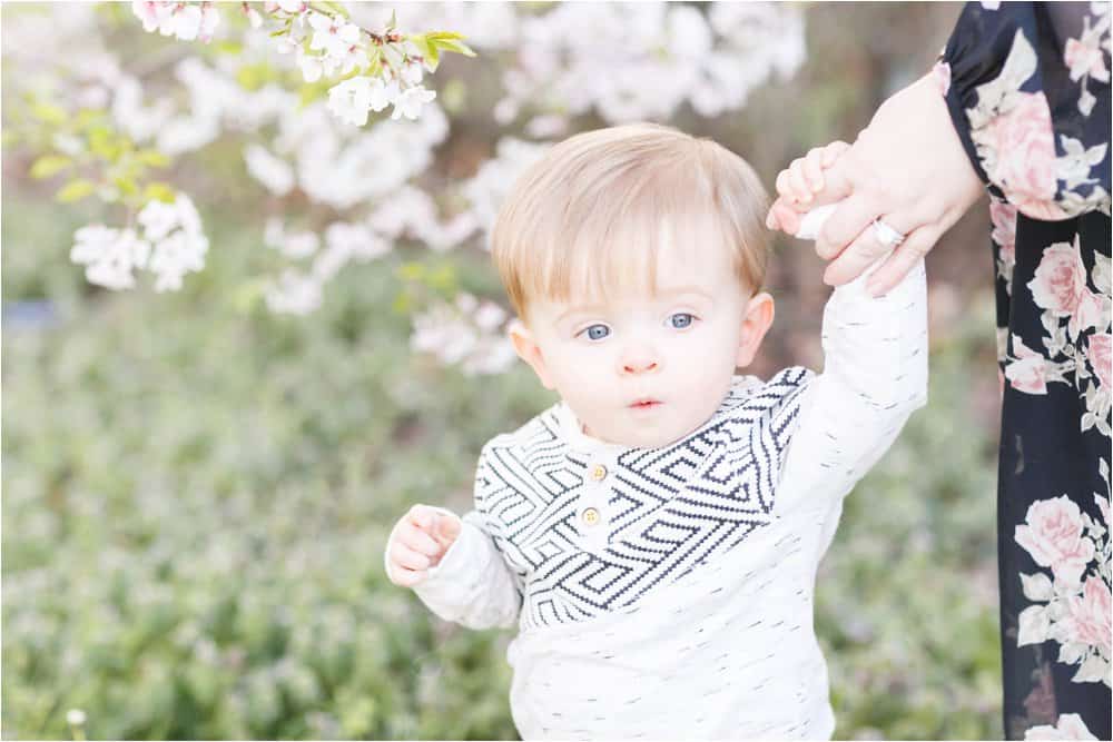 cherry blossom photo session