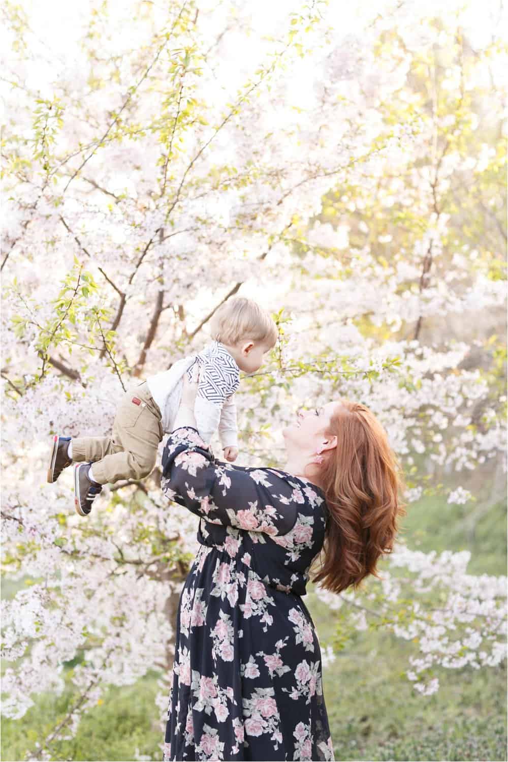 cherry blossom photo session