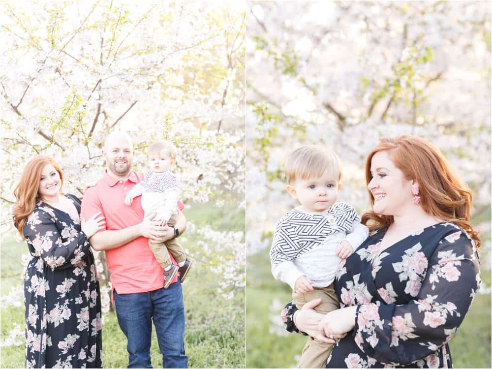 cherry blossom photo session