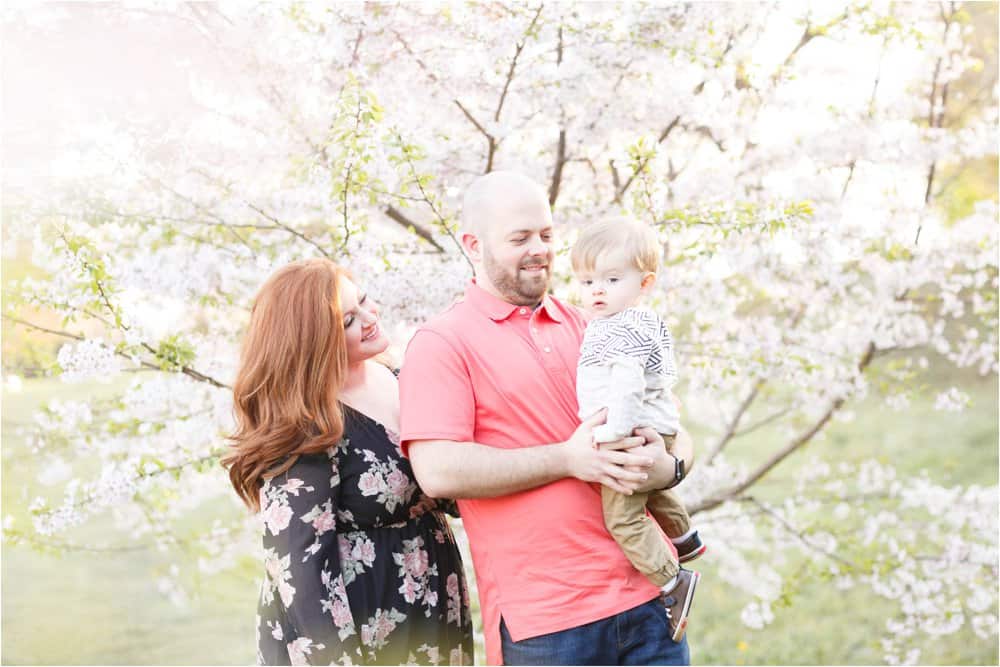 cherry blossom photo session