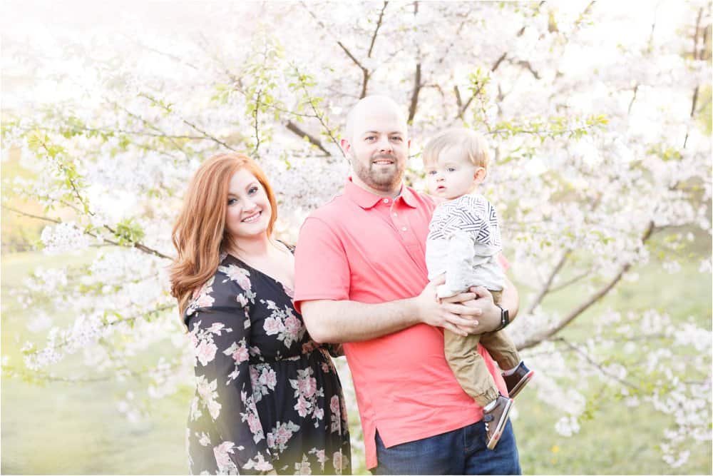 cherry blossom photo session