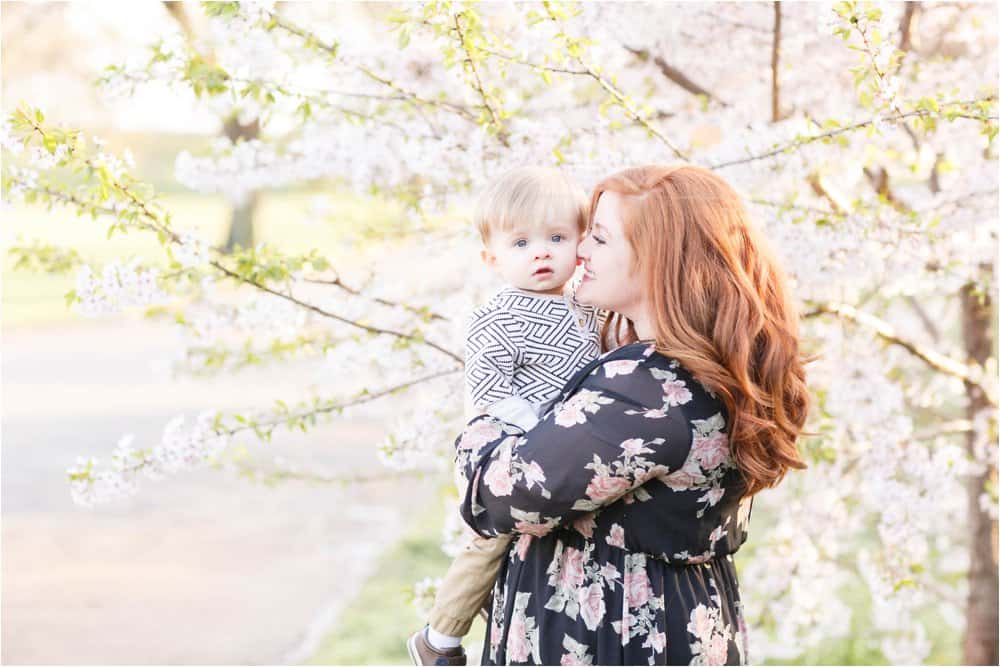 cherry blossom photo session