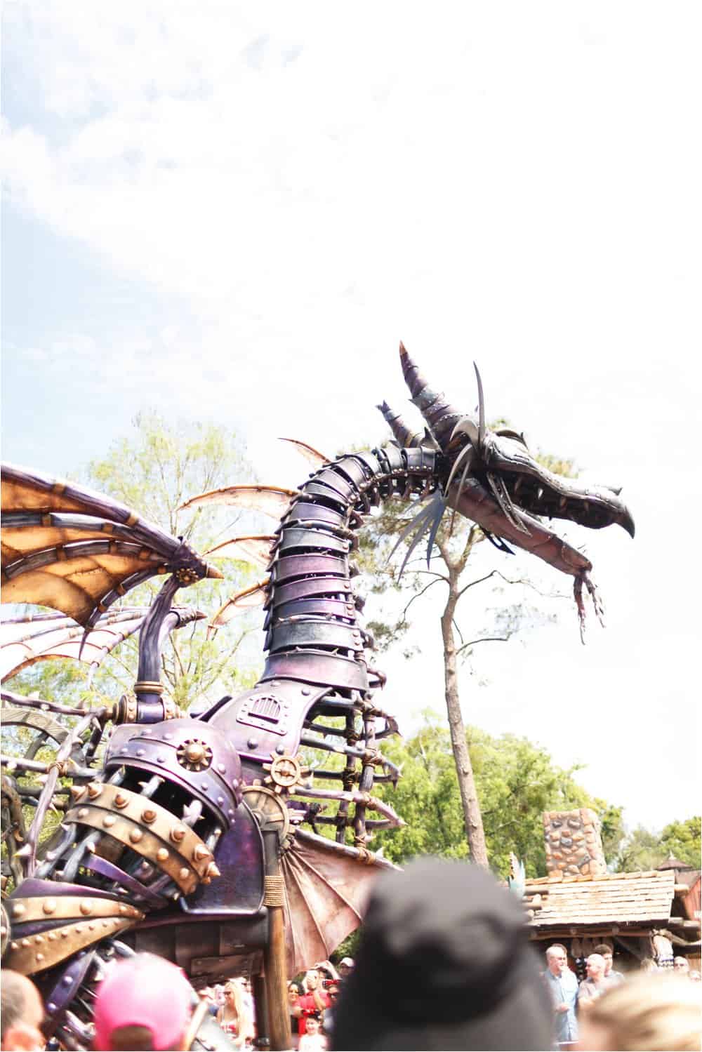 disney world orlando florida magic kingdom photo session