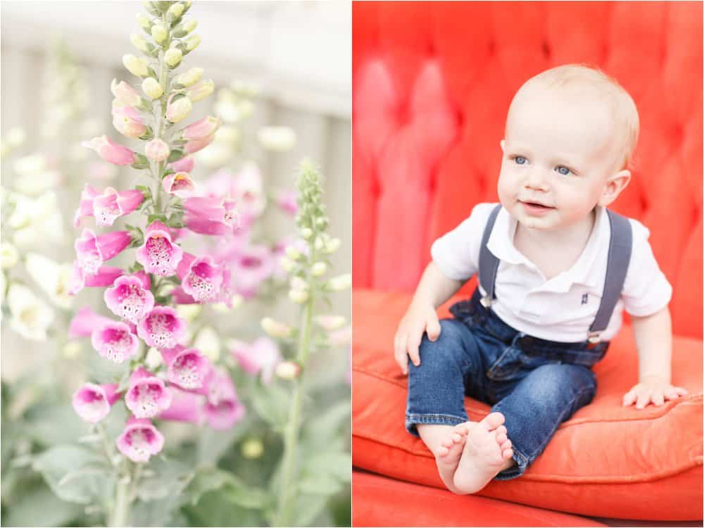 motherhood portraits greenhouse photos