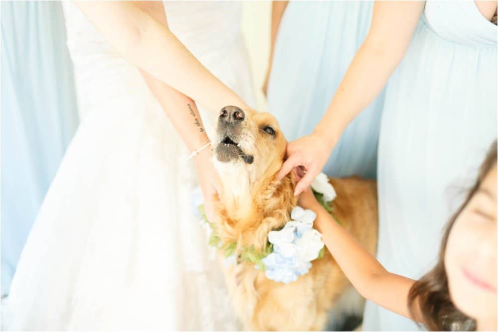 tappahannock virginia riverside wedding