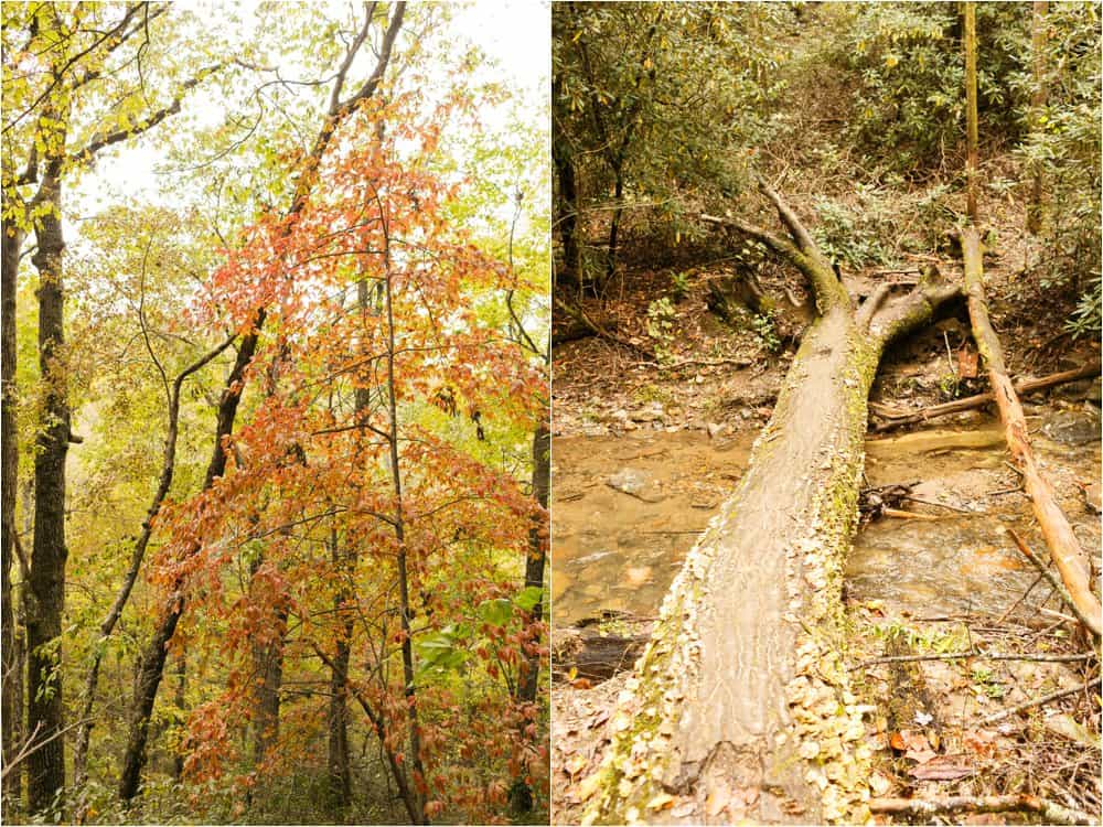 asheville nc biltmore chimney rock north carolina photos