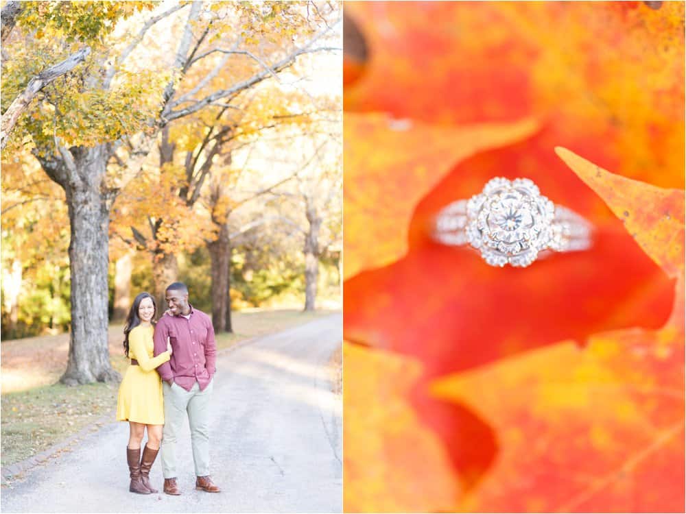 forest hill richmond virginia fall engagement photos