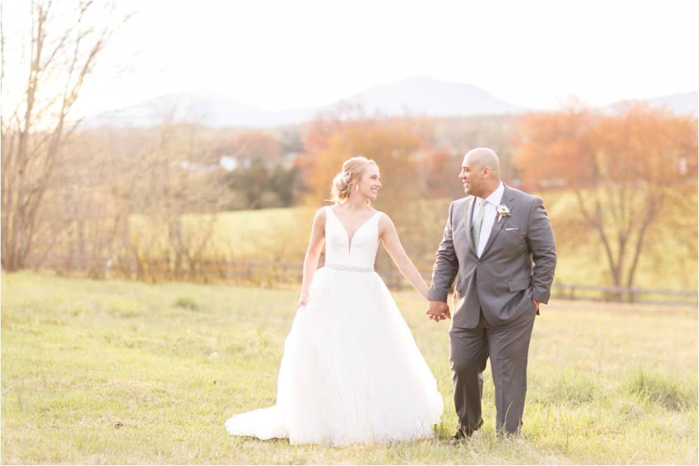 the trivium estate forest virginia wedding photos