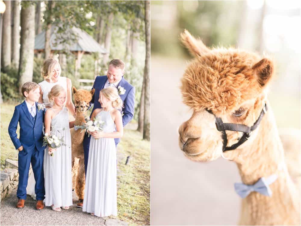 celebrations at the reservoir wedding photos richmond virginia wedding photos