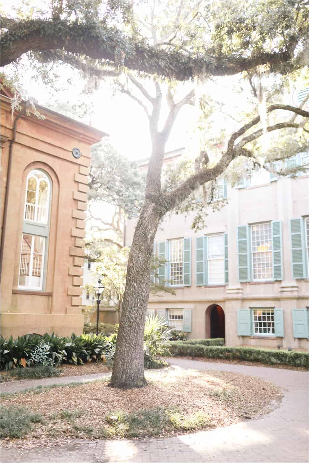 charleston south carolina portrait engagement wedding photos