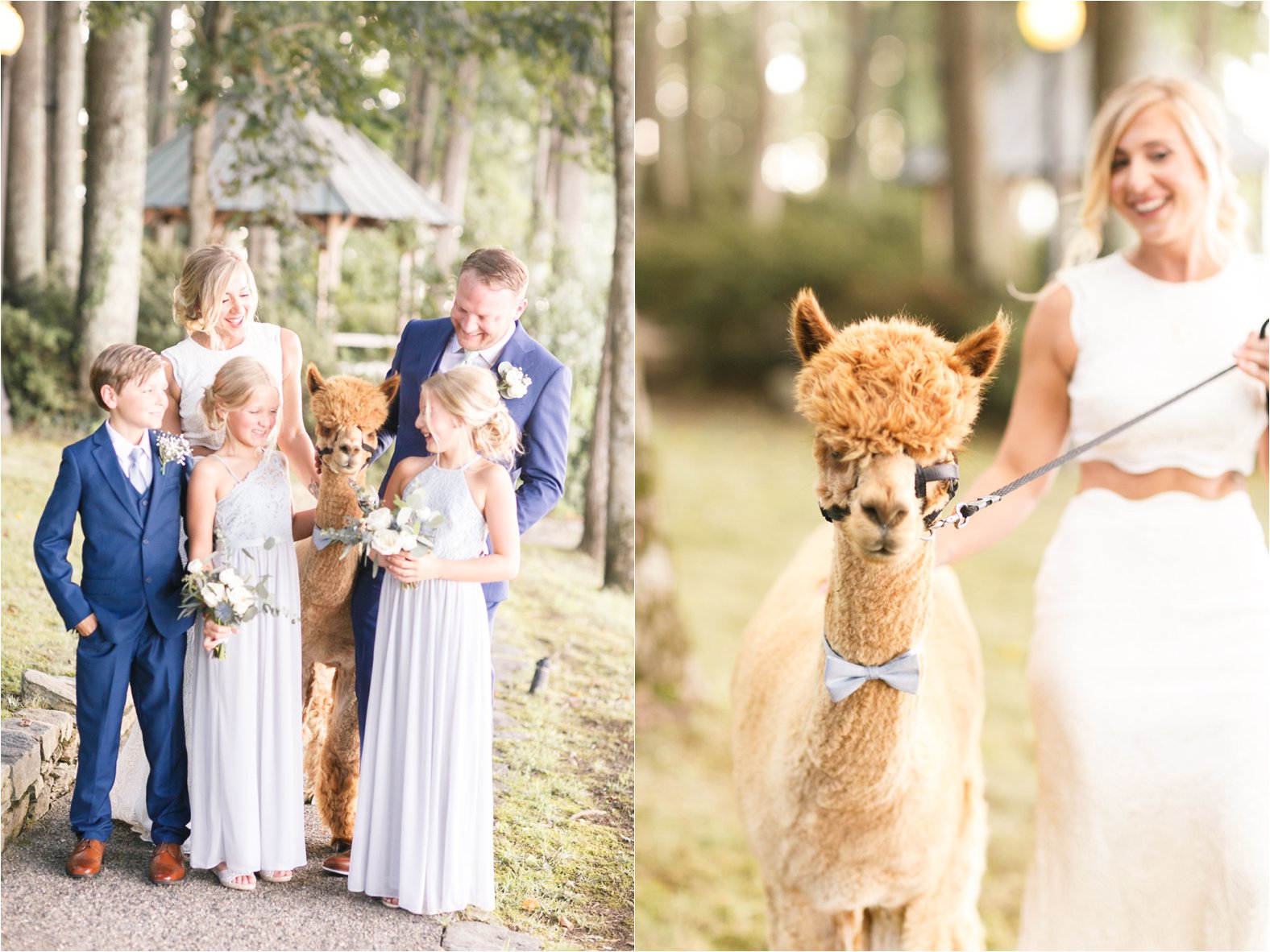 virginia and destination travel wedding engagement photographer photos