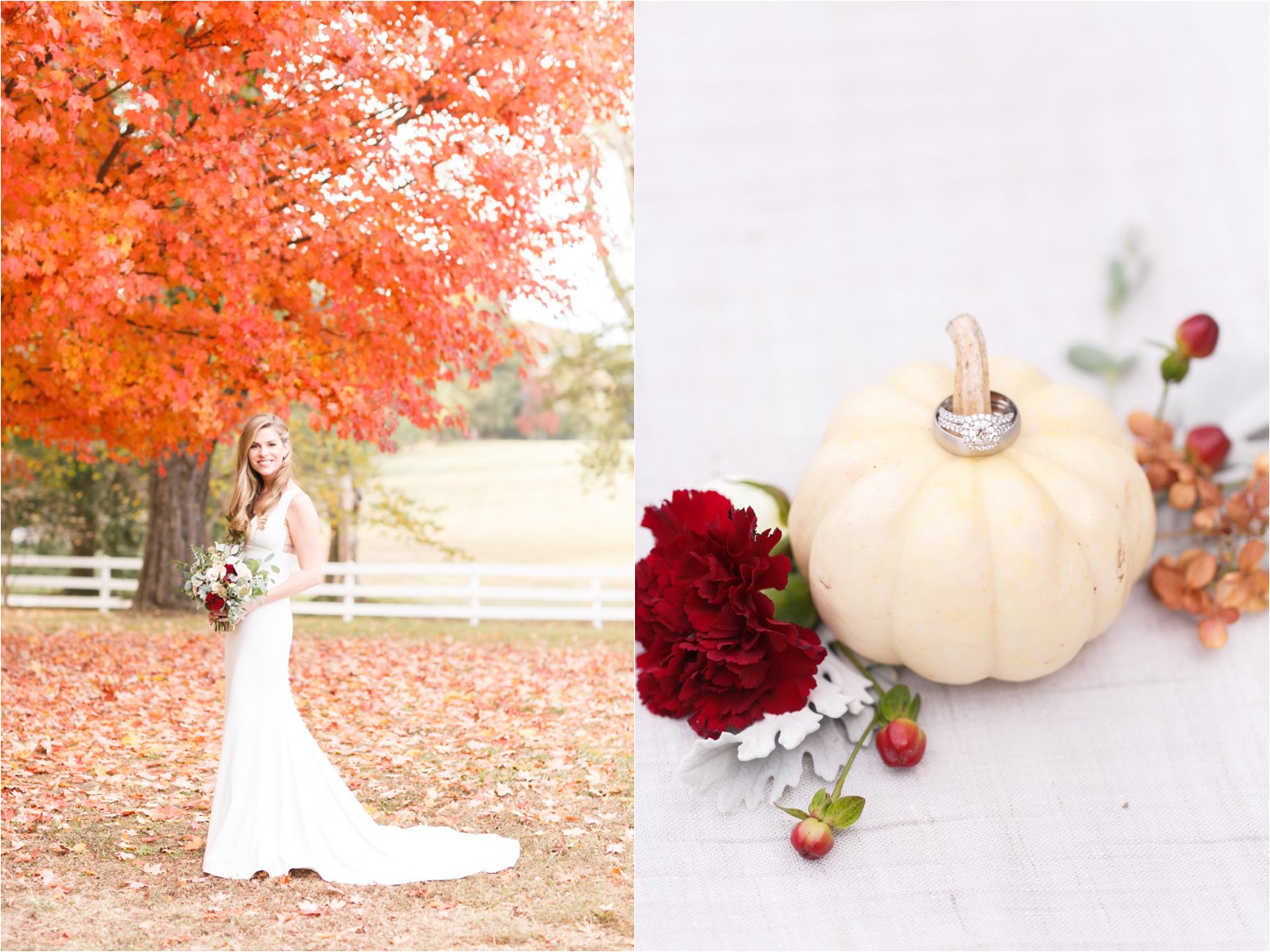 virginia and destination travel wedding engagement photographer photos