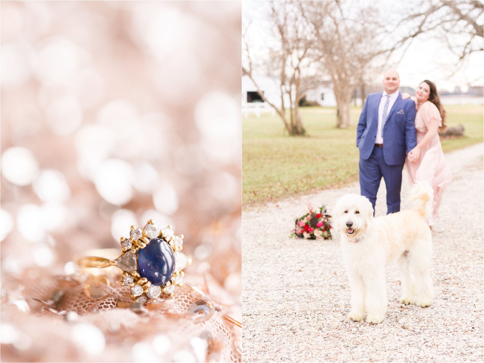 virginia and destination travel wedding engagement photographer photos