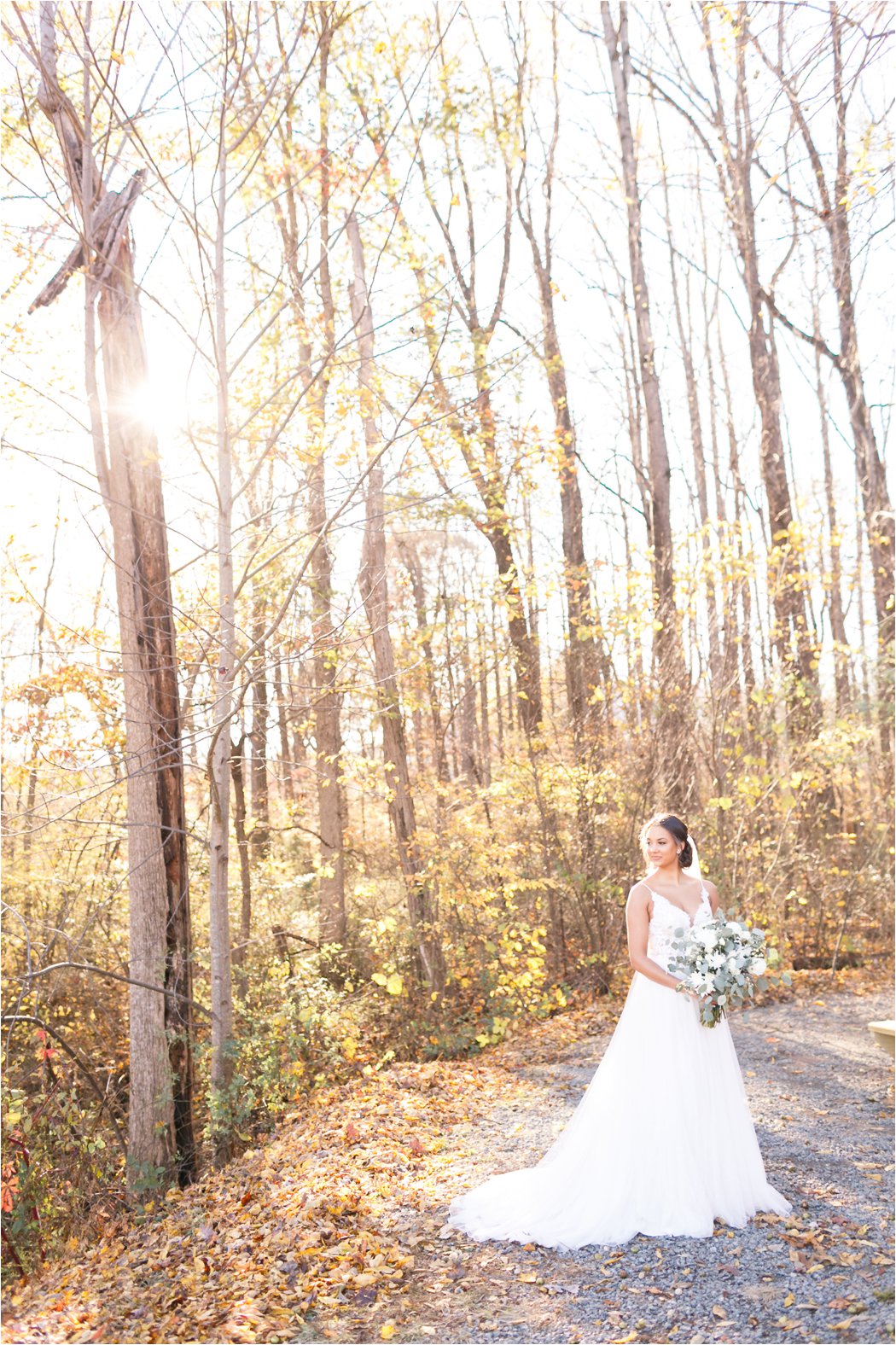 virginia and destination travel wedding engagement photographer photos