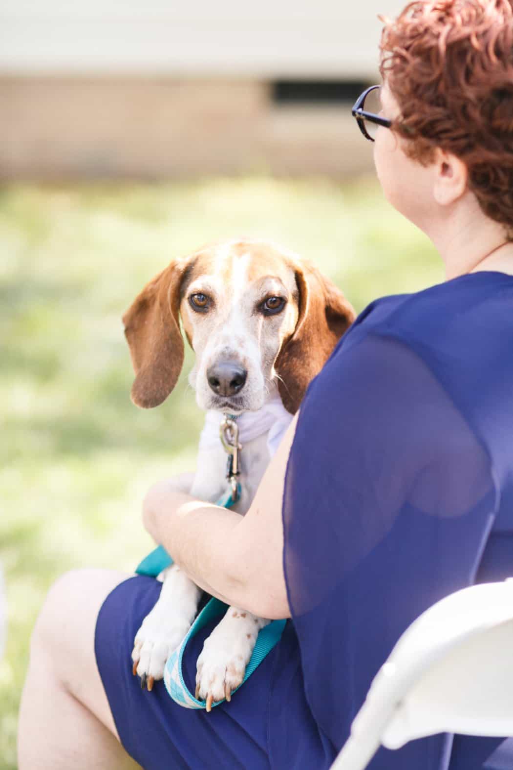 richmond virginia elopement photographer elopement photos